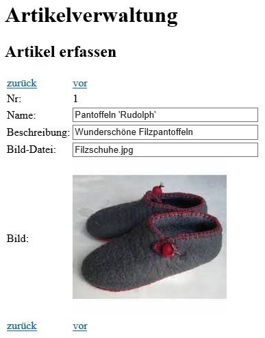 Abbildung: Skizze für ein Formular zur Pflege der Artikeldaten